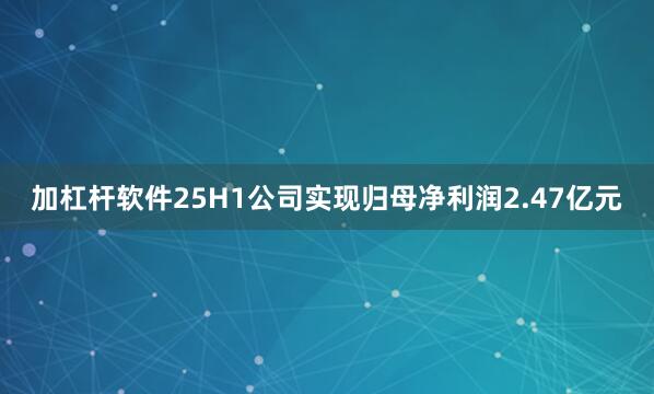 加杠杆软件25H1公司实现归母净利润2.47亿元