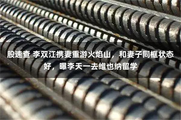 股速查 李双江携妻重游火焰山，和妻子同框状态好，曝李天一去维也纳留学