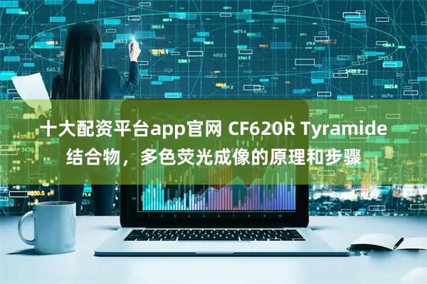 十大配资平台app官网 CF620R Tyramide结合物，多色荧光成像的原理和步骤